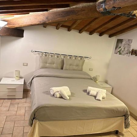 Il Nido Di Fede E Romy Διαμέρισμα Castelnuovo Berardenga Εξωτερικό φωτογραφία